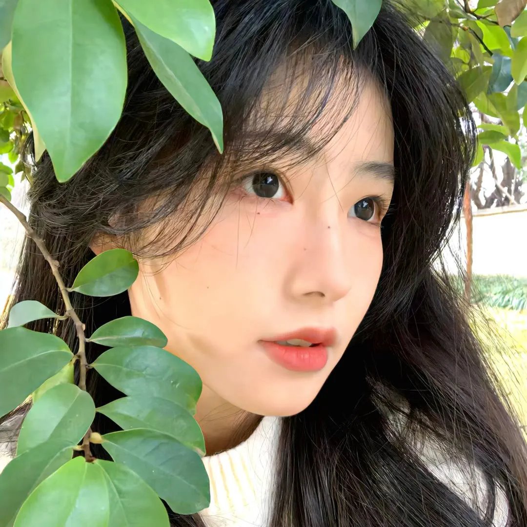 水星领航员第一季